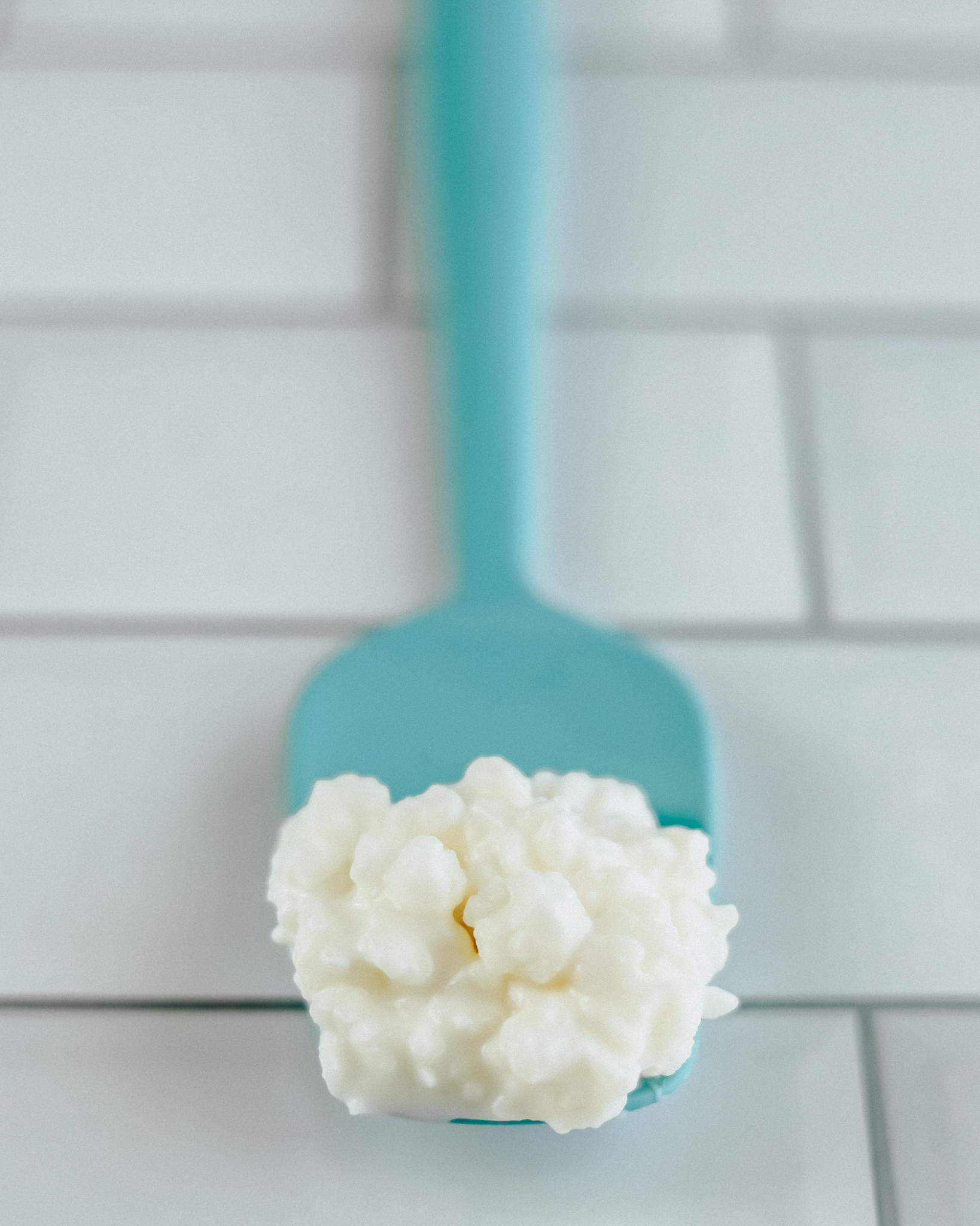 Turqoise silicone spatula holds a tablespoon of freshly strained kefir grains.
